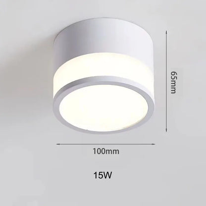 Nordic LED Surface Downlight