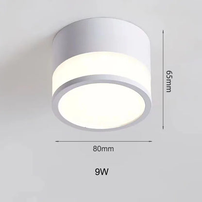 Nordic LED Surface Downlight