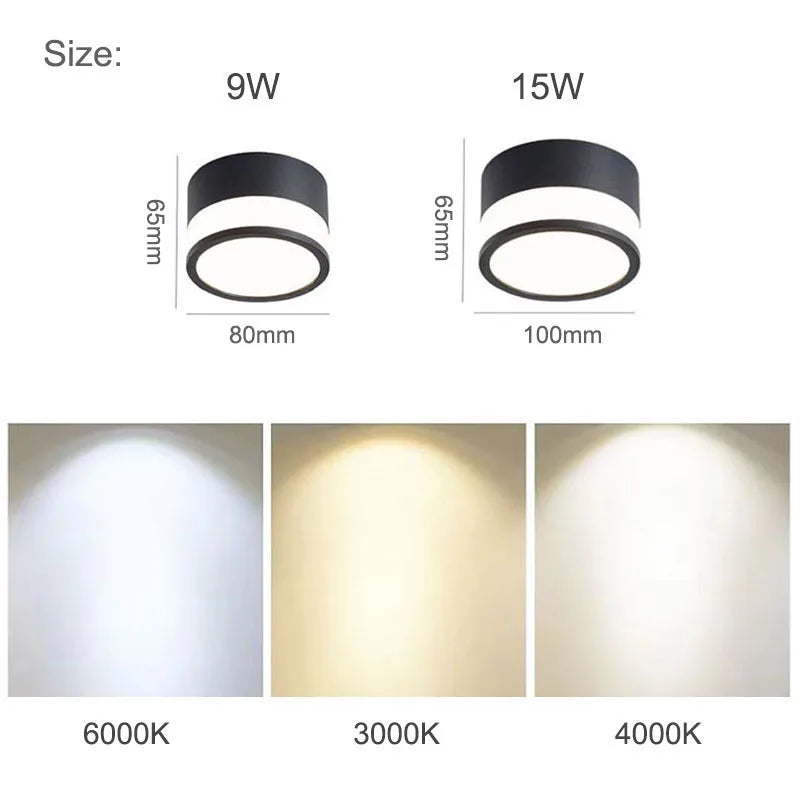 Nordic LED Surface Downlight