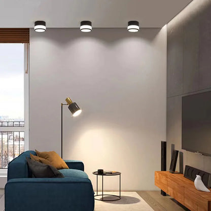 Nordic LED Surface Downlight