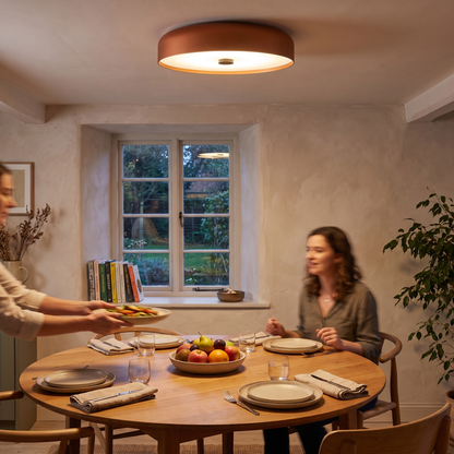 Nordic Retro Ceiling Light | Minimalist LED Flush Mount lifestyle
